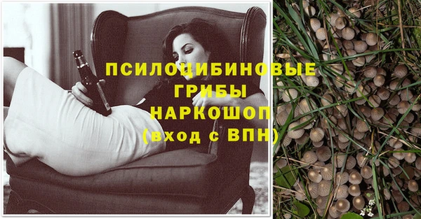 соль ск Алзамай