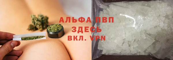 сатива Алексин