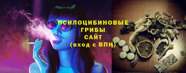 соль ск Алзамай