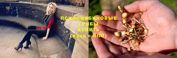 прущая мука Абаза